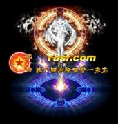 传奇私服一条龙NPC补丁素材-美丽天使