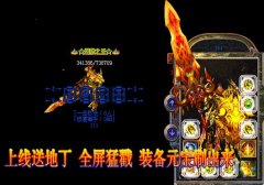 传奇sf一条龙轻中变-盤龍赤霄|莲花沼泽|HEROM
