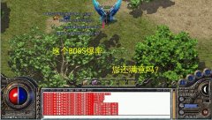 传奇版本下载神胤狂战变态合击版-BLUE